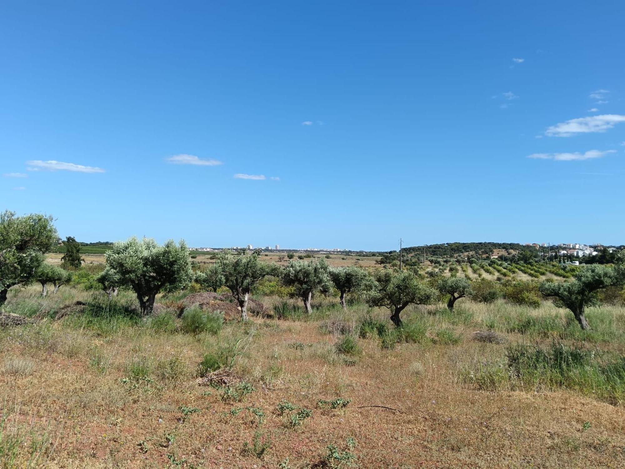 Quinta Da Fornalha - Santuario Agroecologico Villa Castro Marim Eksteriør billede