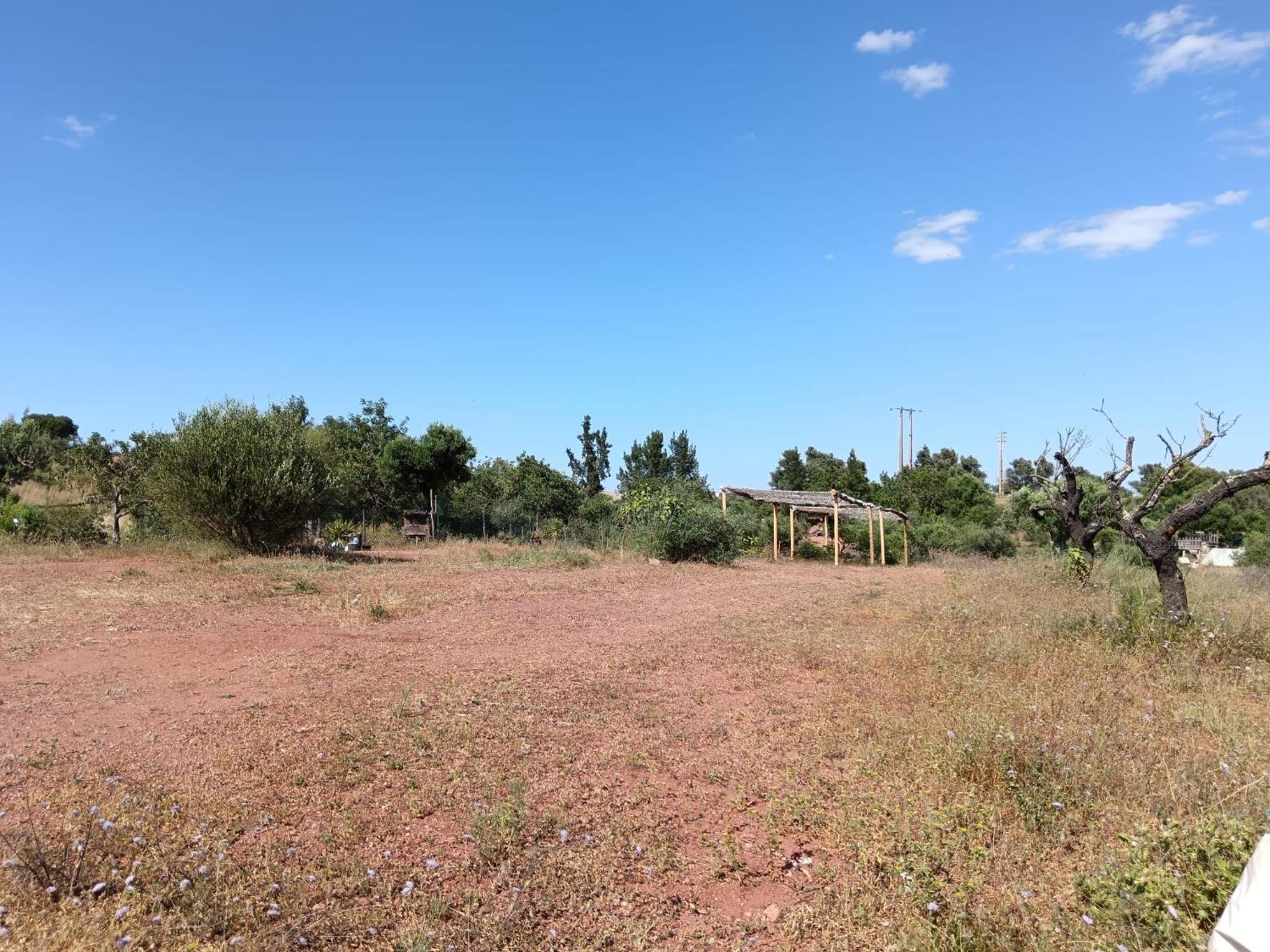 Quinta Da Fornalha - Santuario Agroecologico Villa Castro Marim Eksteriør billede