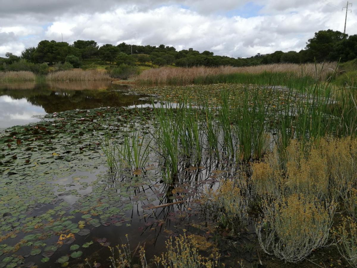 Quinta Da Fornalha - Santuario Agroecologico Villa Castro Marim Eksteriør billede